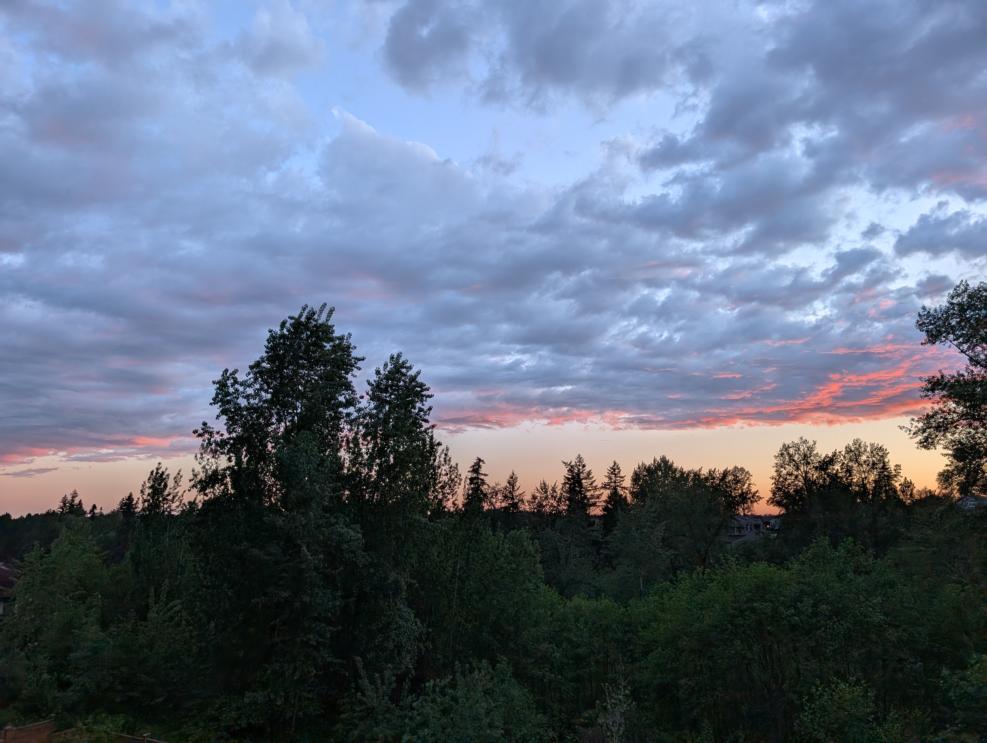 Sunset over BC forest